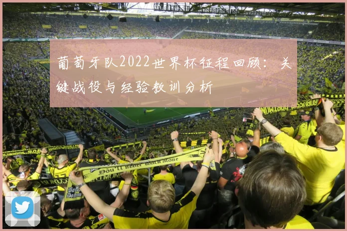 葡萄牙队2022世界杯征程回顾：关键战役与经验教训分析